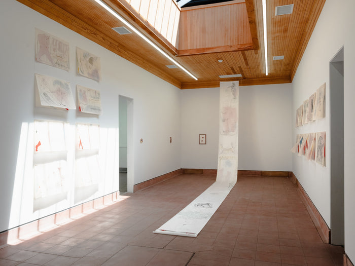 Oeillade to Cathexis - Santiago Evans Canales - May 30 – July 11, 2026